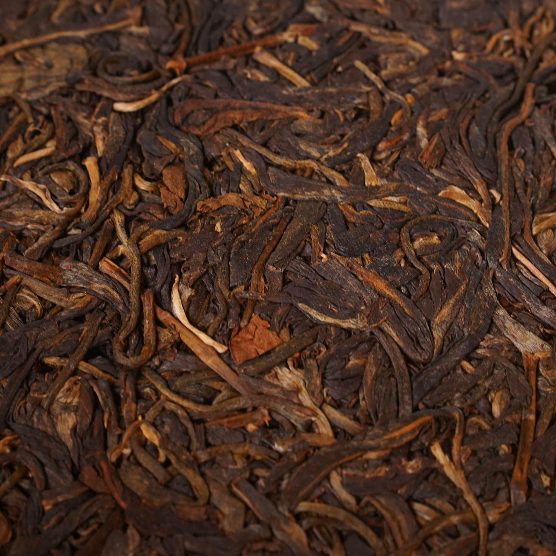 2013 Raw Puer